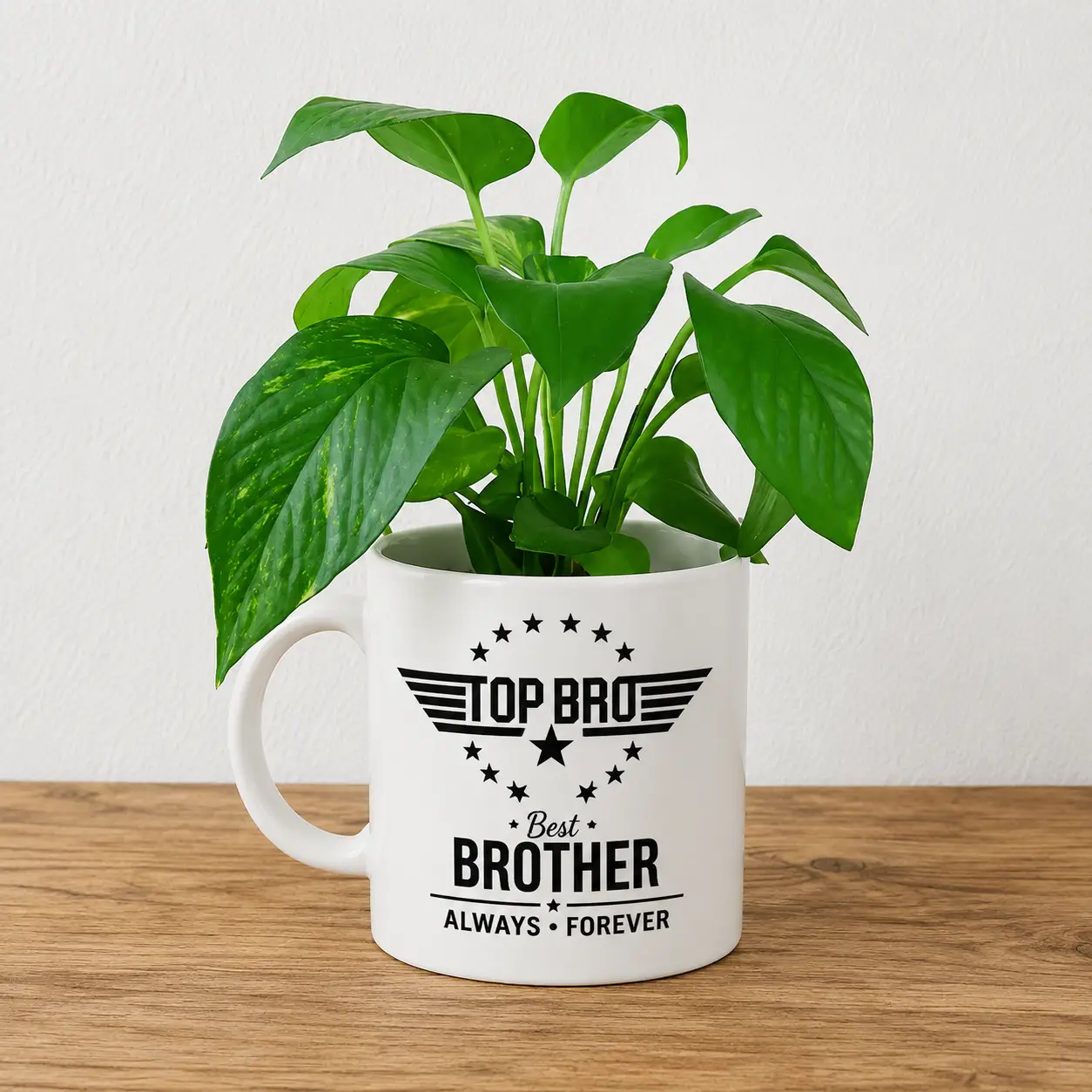Money Plant in Best Brother Printed Mug