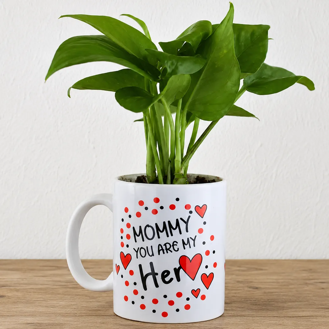 Money Plant in Printed Hero Mug — photo 2