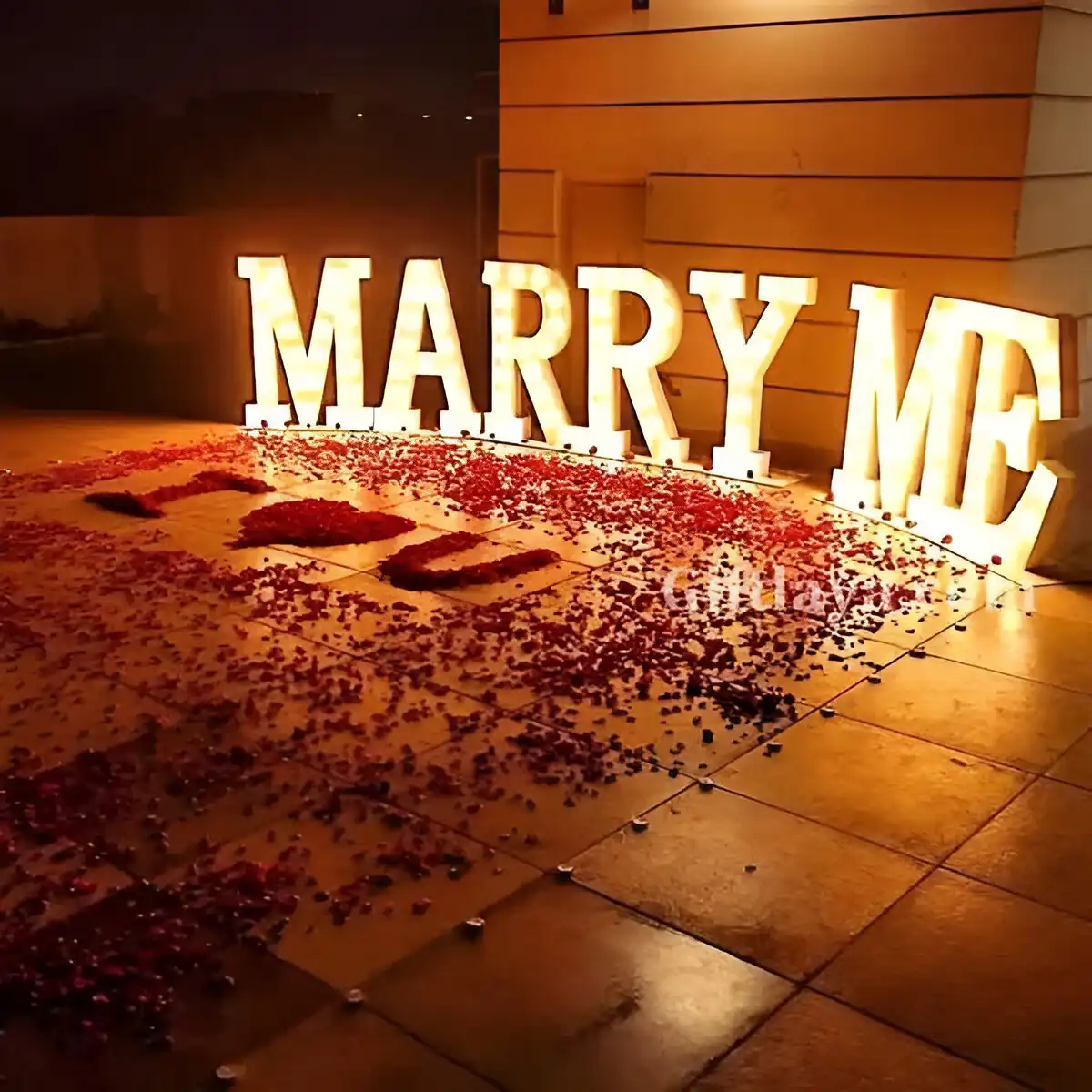 Proposal Setup