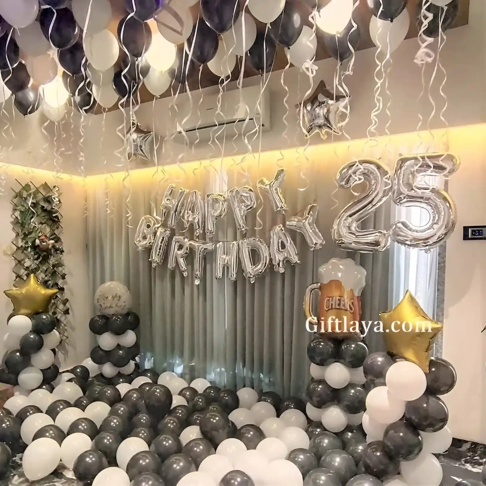 Balloon House Party
