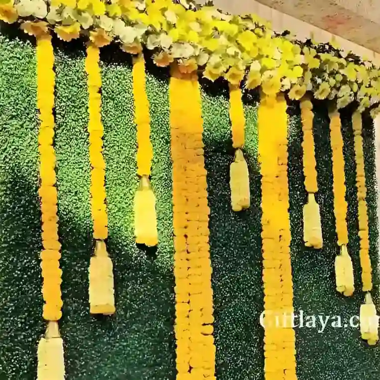 Haldi Backdrop Design