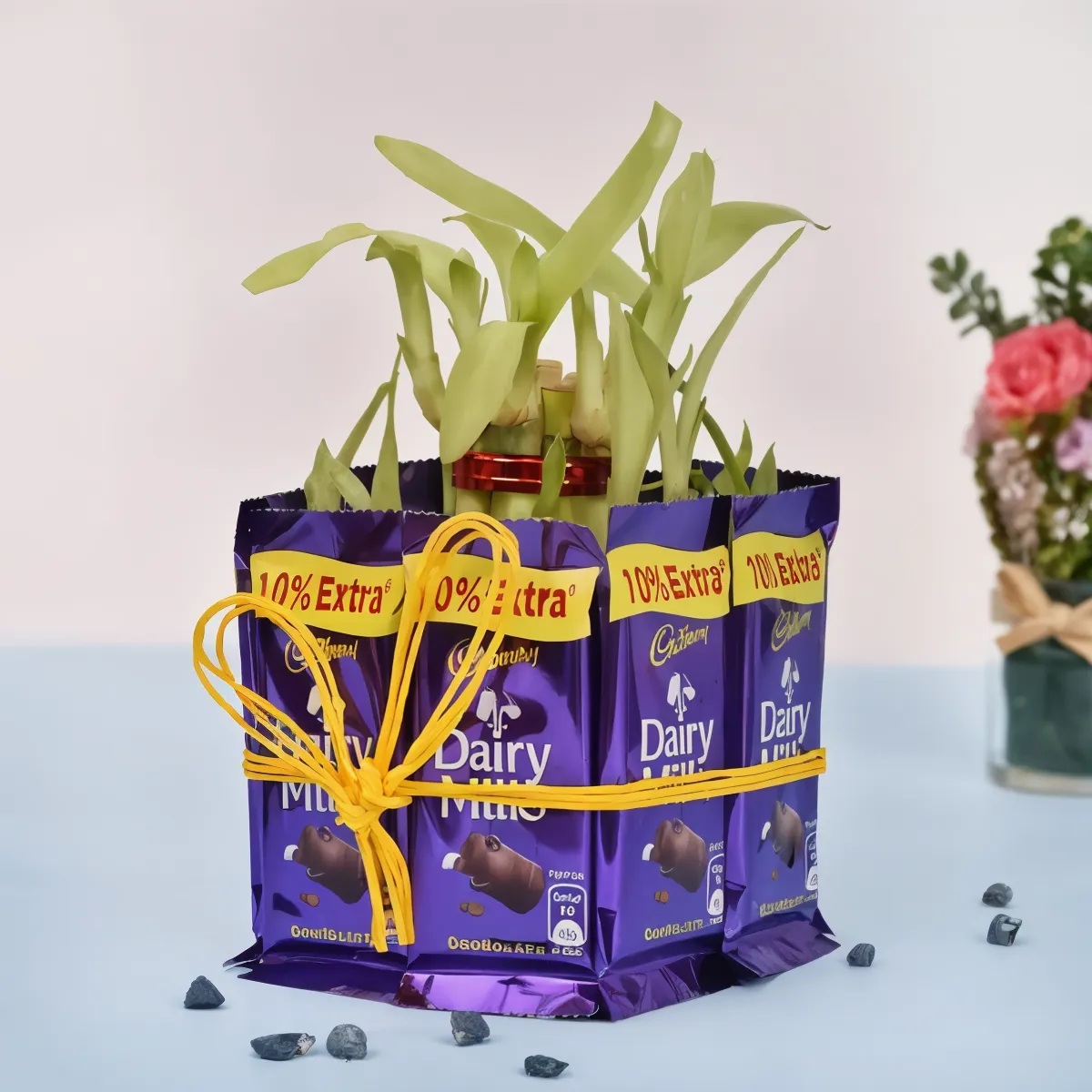 Chocolate Bamboo Tree