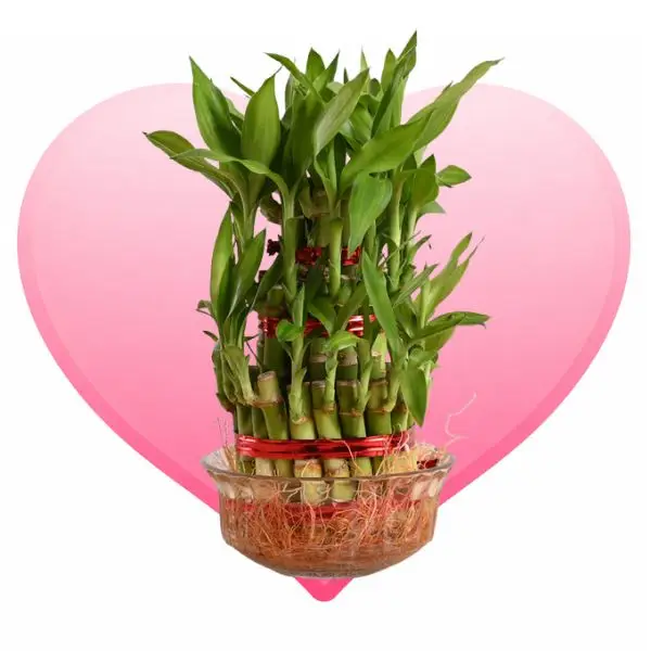 Homepage Decor Images